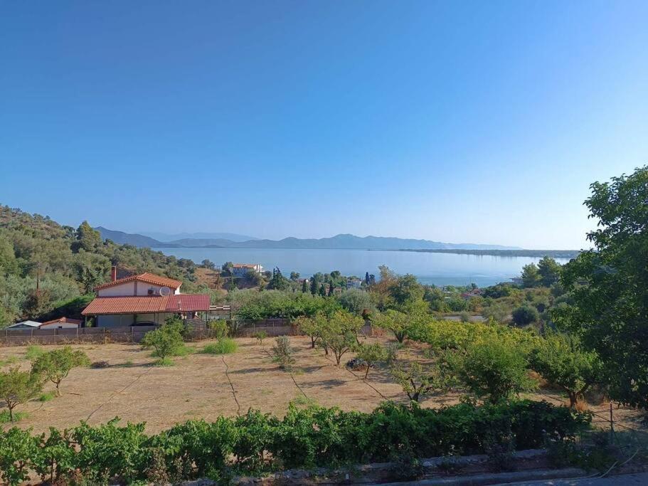 Ολόκληρος Όροφος Αγροτική Οικία Apartment Neos Pirgos Exterior photo