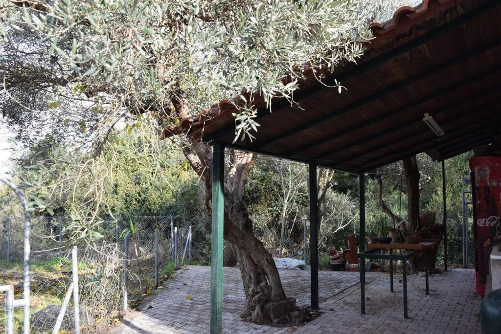 Ολόκληρος Όροφος Αγροτική Οικία Apartment Neos Pirgos Exterior photo